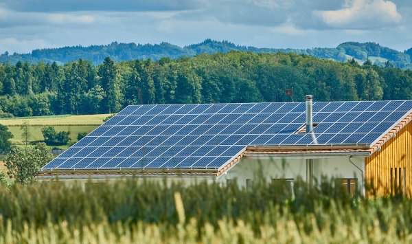 Elektronikversicherung Weinbau