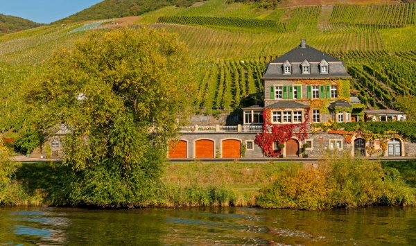 Gebäudeversicherung für Winzer und Weingüter