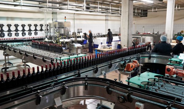 Montageversicherung Weinbau